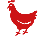 Red chicken silhouette on black background