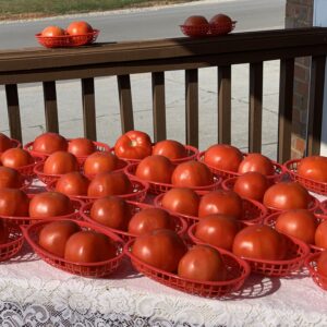 Baskets of ripe red tomatoes on porch