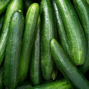 Fresh cucumbers with water droplets