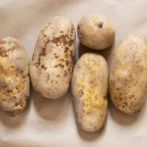 Five raw potatoes on brown paper