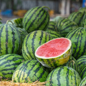 Pile of watermelons with exposed red flesh